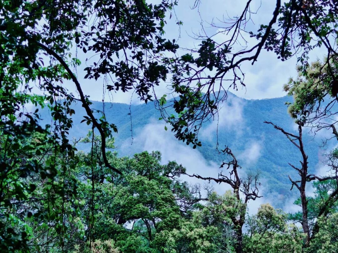 云南海泰财务管理有限公司大理巍山团建活动圆满结束！