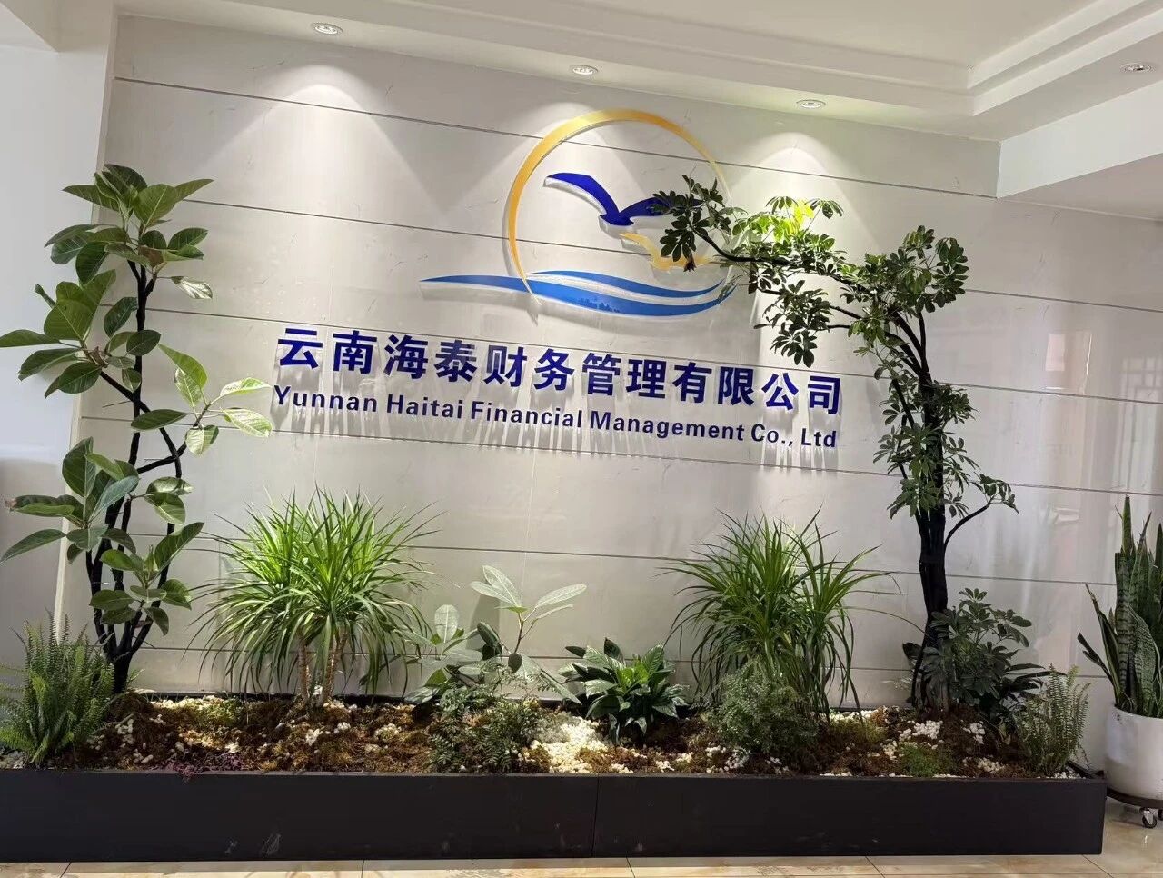 注入新鲜血液！云南海泰财务管理有限公司迎来校园新媒体达人