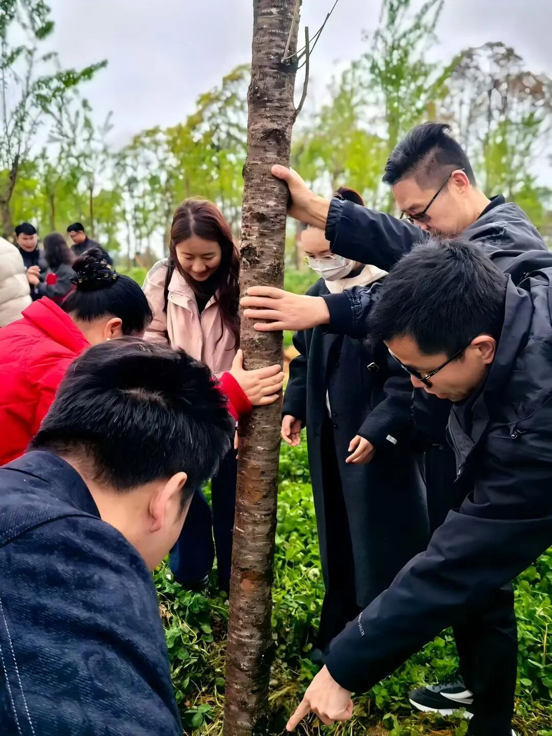 植绿践责任，同心筑家园｜海泰财务参与六甲街道义务植树活动